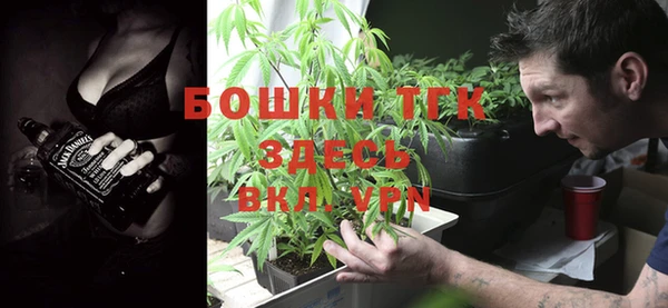 гидра Белокуриха