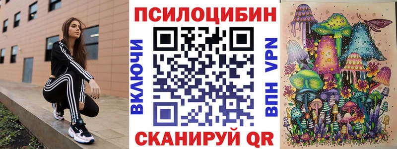 Галлюциногенные грибы Psilocybe блэк спрут зеркало Владимир